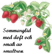 Sommarglid smultron 50 ml - GLIDMEDEL