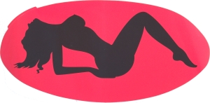 Lady stickers horisontal - ÖVRIGA PRODUKTER